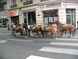  chevaux, rue de Fleurus